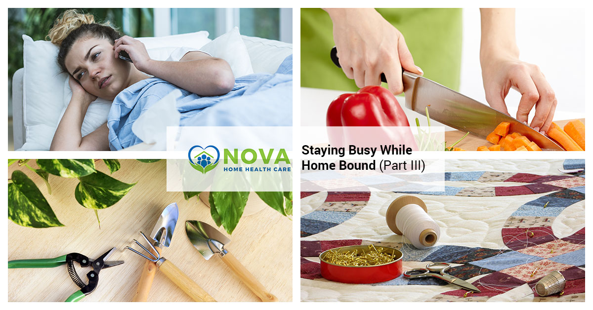 Staying Busy While Home Bound – Part III - NOVA HOME HEALTH CARE