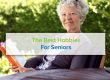 The Best Hobbies For Seniors- NOVA HOME HEALTH CARE